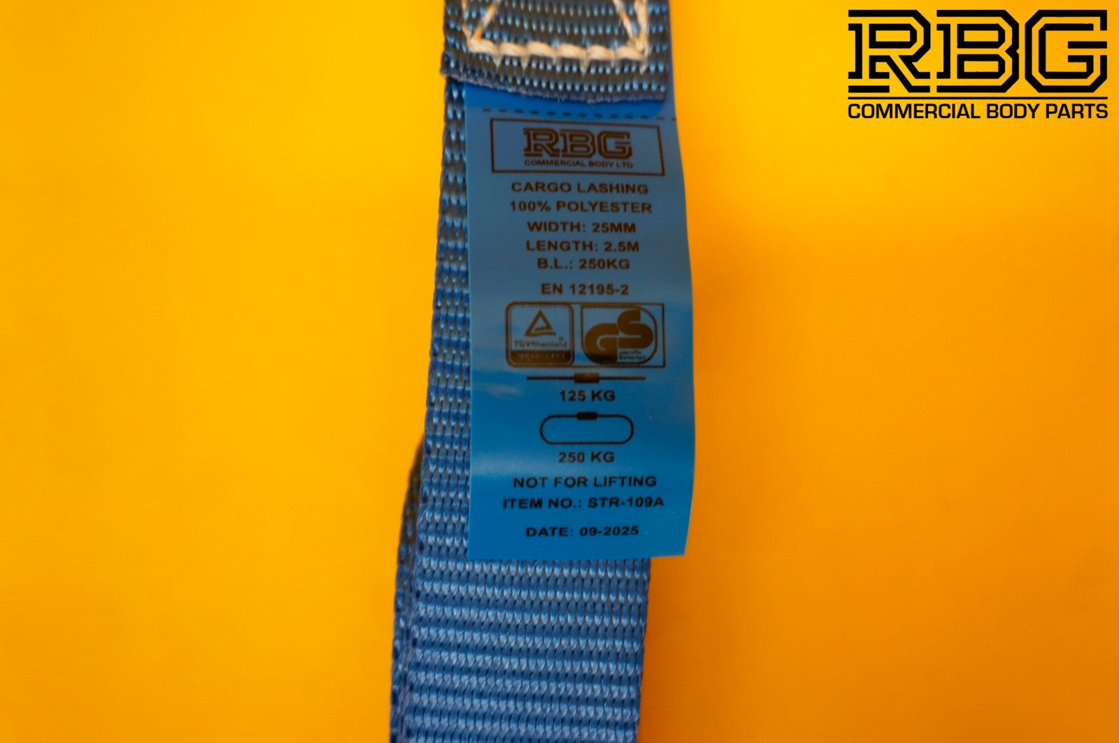Cam Buckle Lashing Strap 250kg Blue Tie Down 2.5m Trailer Cargo Safety Roof Rack