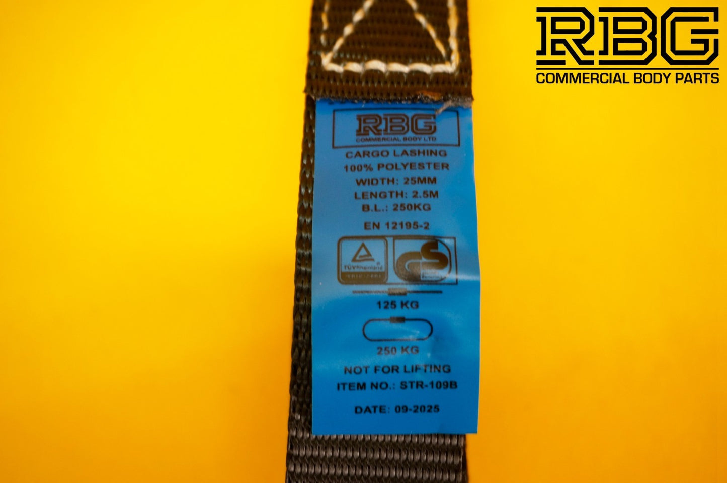 Cam Buckle Lashing Strap 250kg Tie Down 2.5m Black Trailer Box Safety Roof Rack